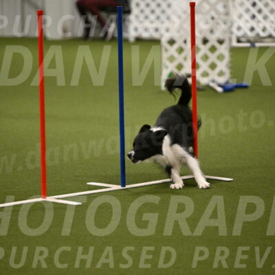 Esme-Samantha-Yanchik-00936