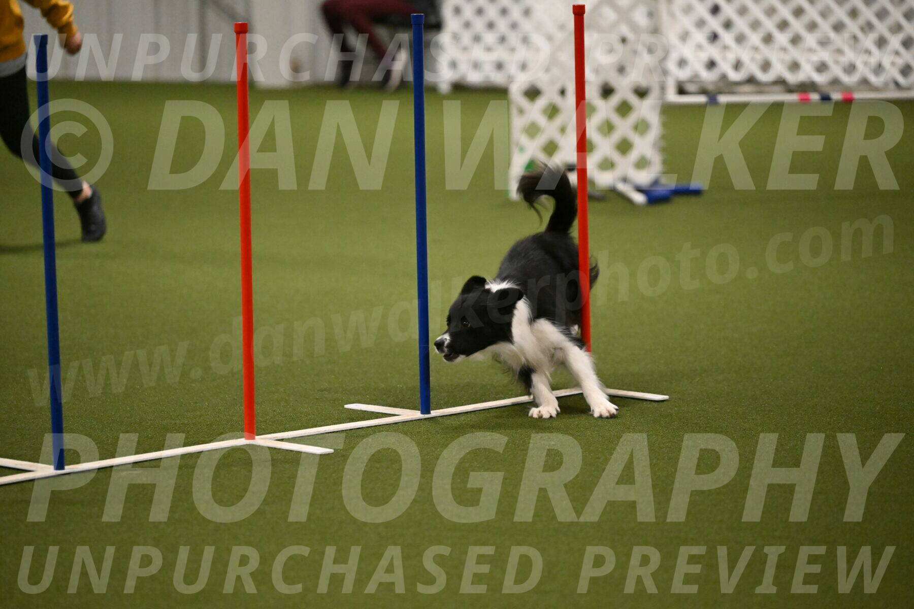 Esme-Samantha-Yanchik-00936