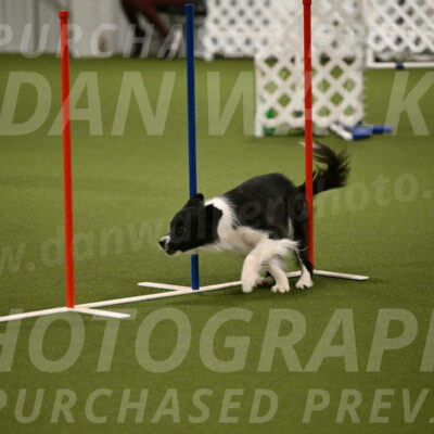 Esme-Samantha-Yanchik-00937