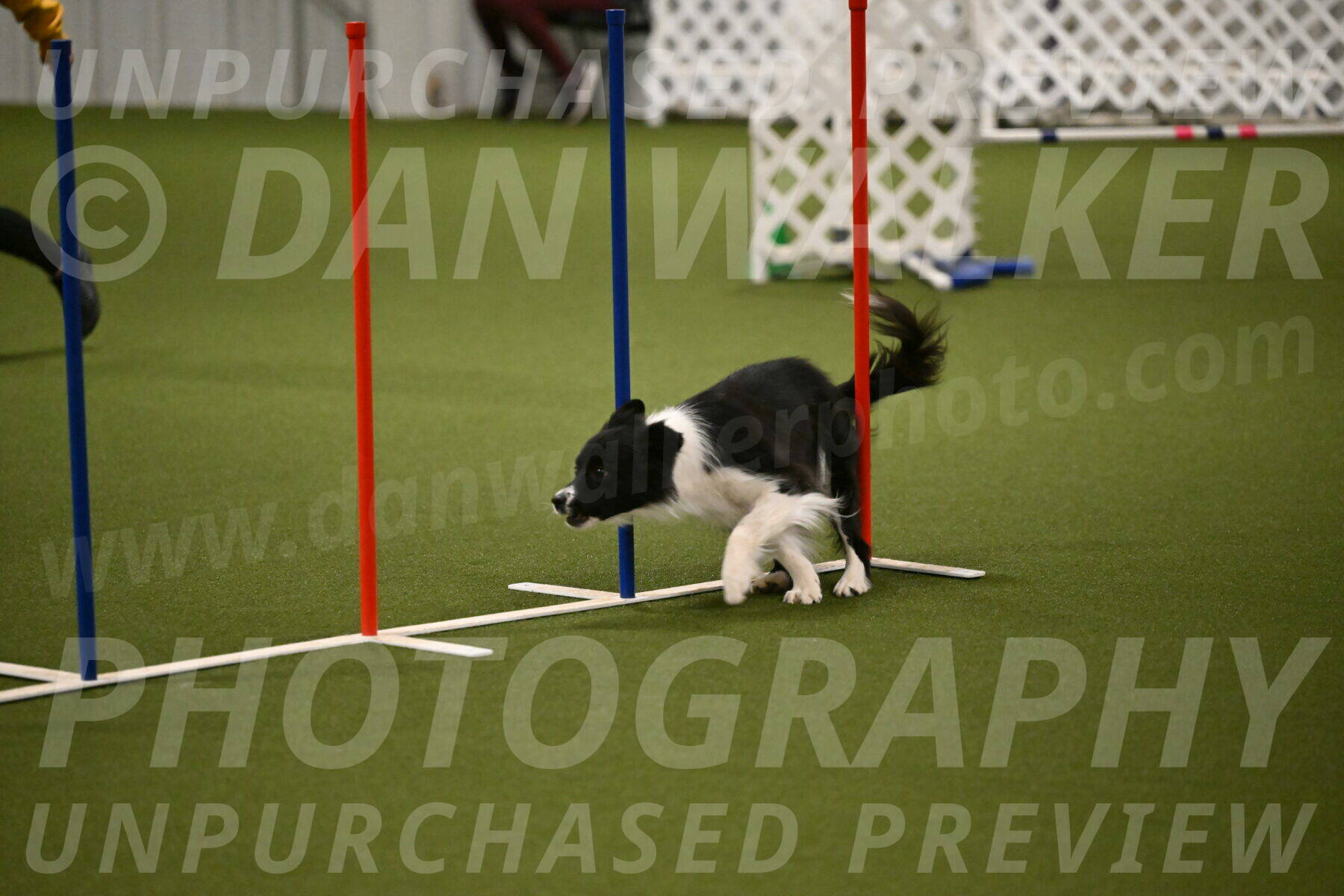 Esme-Samantha-Yanchik-00937