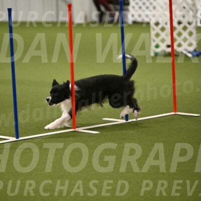 Esme-Samantha-Yanchik-00938