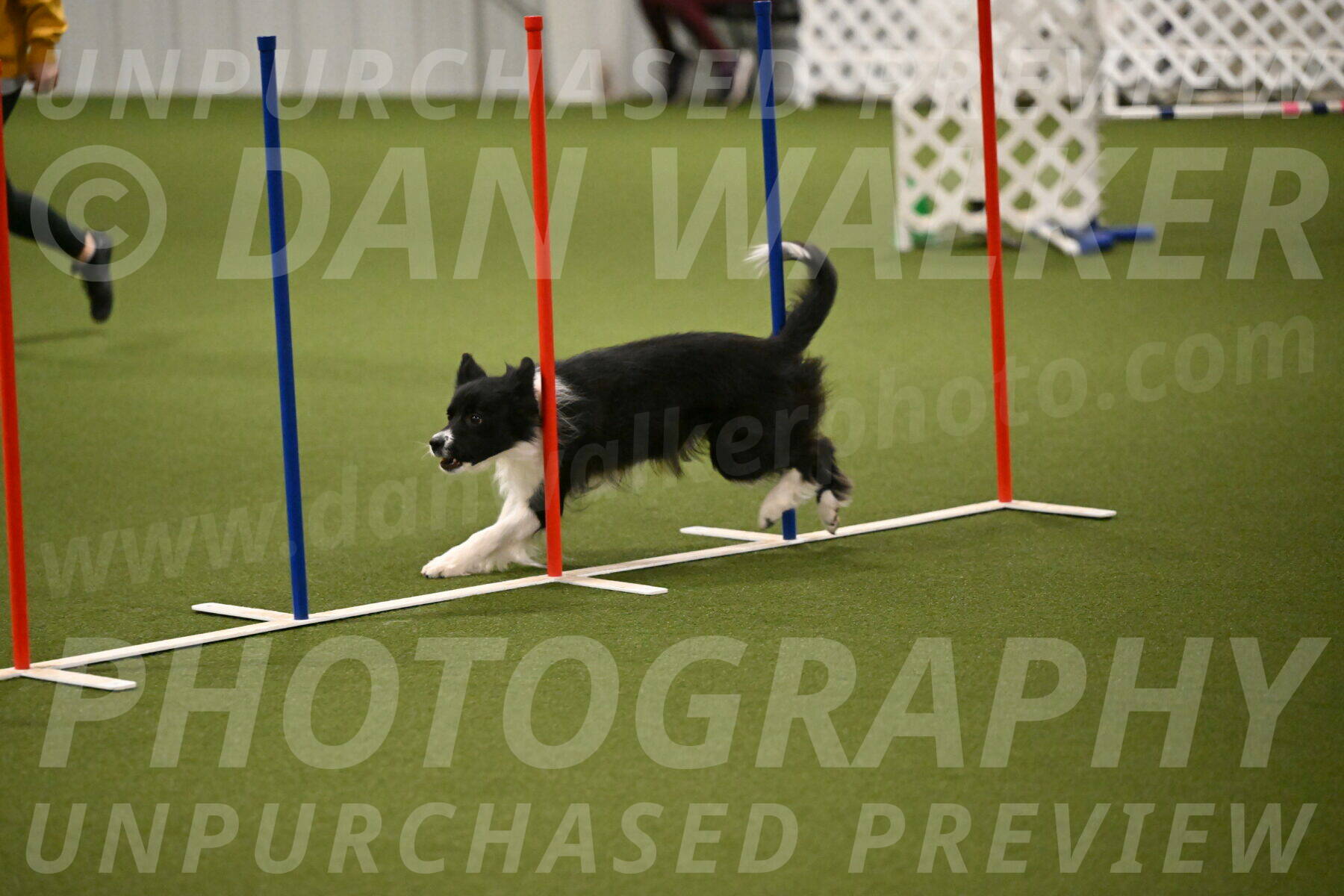 Esme-Samantha-Yanchik-00938