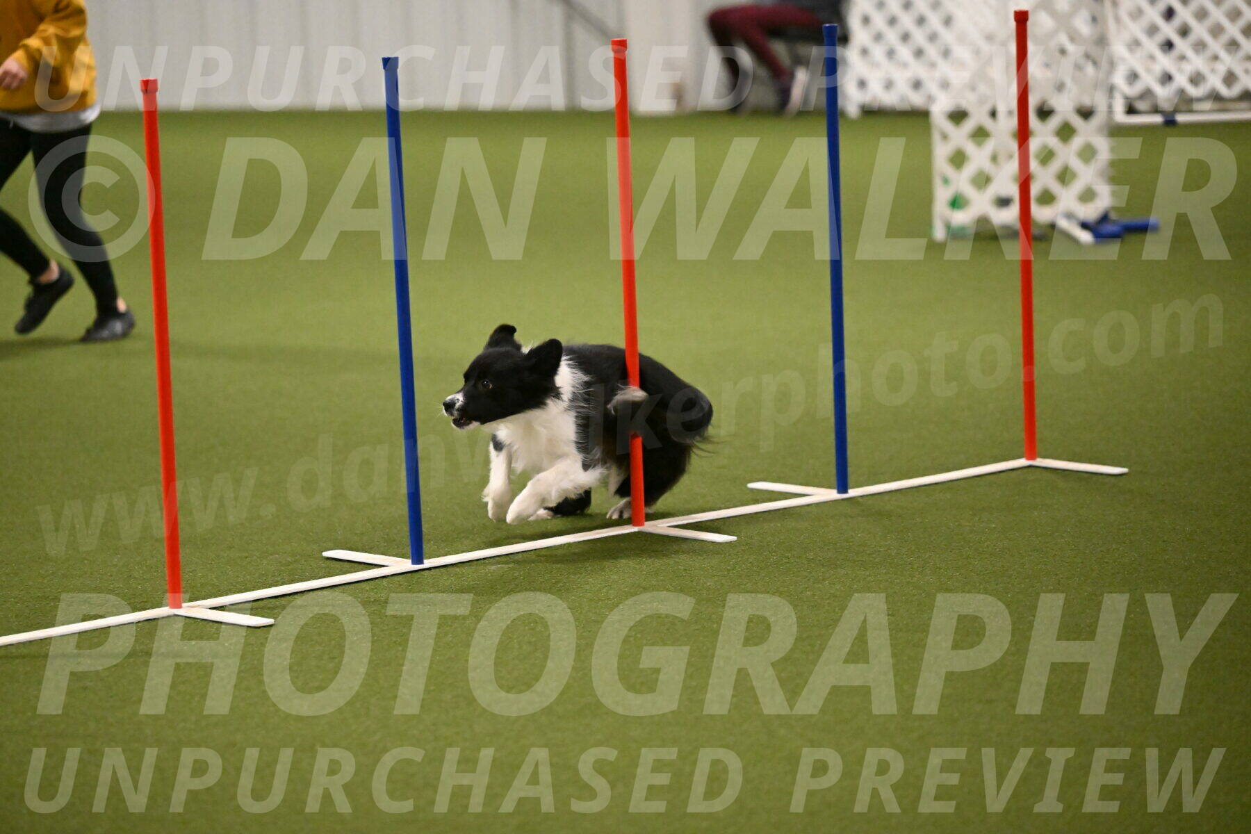 Esme-Samantha-Yanchik-00939