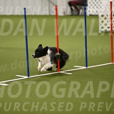 Esme-Samantha-Yanchik-00939