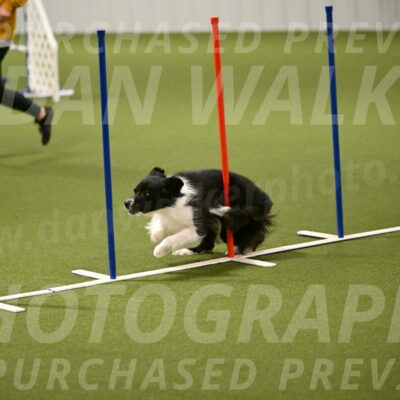 Esme-Samantha-Yanchik-00940