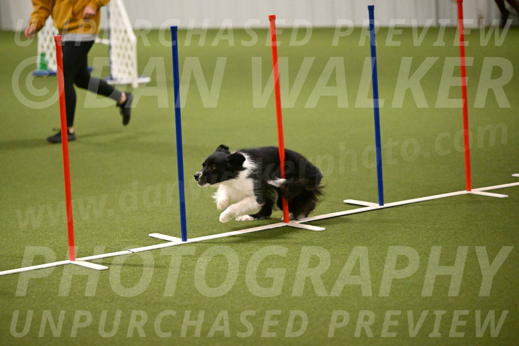 Esme-Samantha-Yanchik-00940