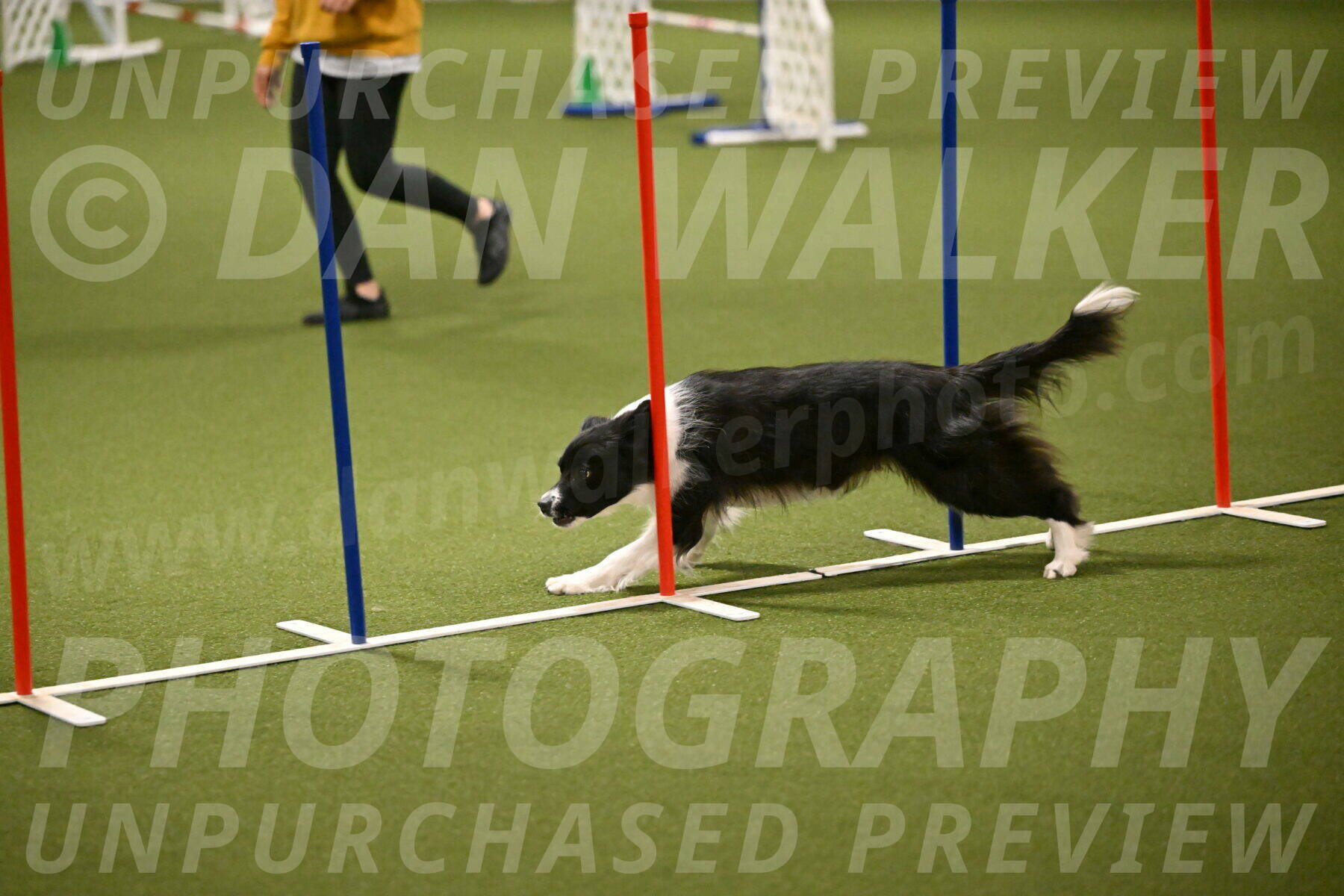 Esme-Samantha-Yanchik-00941