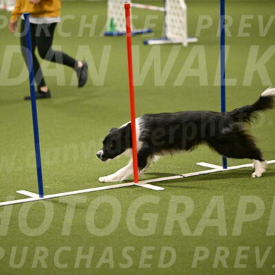 Esme-Samantha-Yanchik-00941