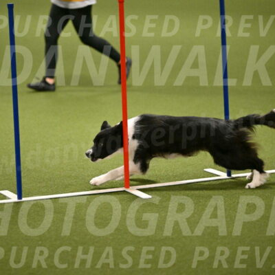 Esme-Samantha-Yanchik-00942