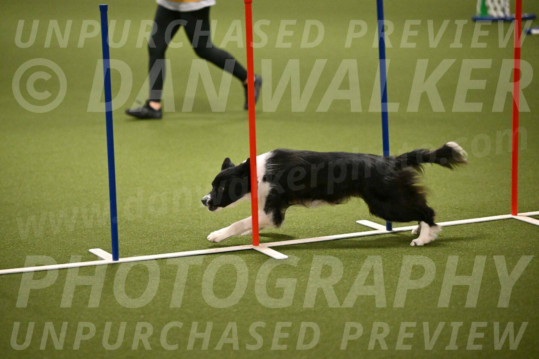 Esme-Samantha-Yanchik-00942