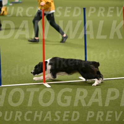 Esme-Samantha-Yanchik-00943