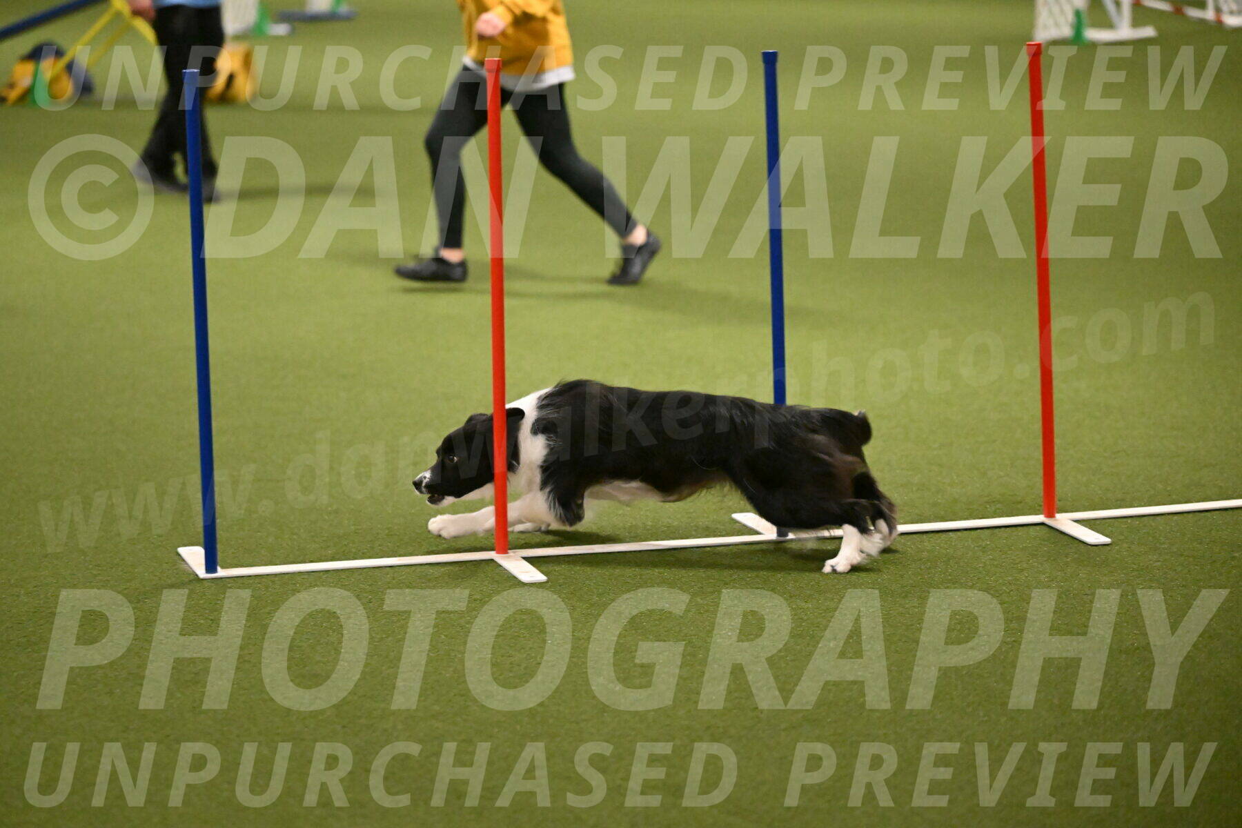 Esme-Samantha-Yanchik-00943