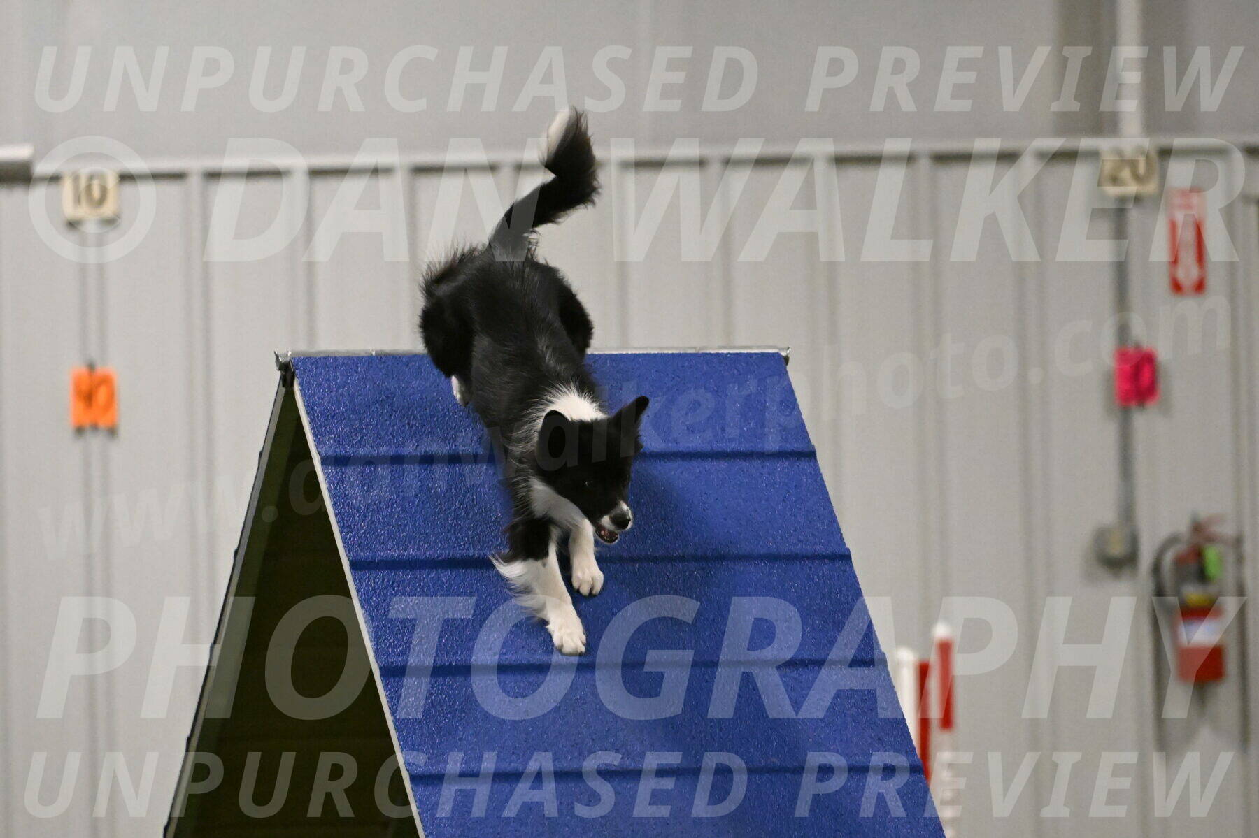 Esme-Samantha-Yanchik-00944