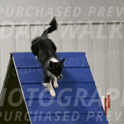 Esme-Samantha-Yanchik-00944