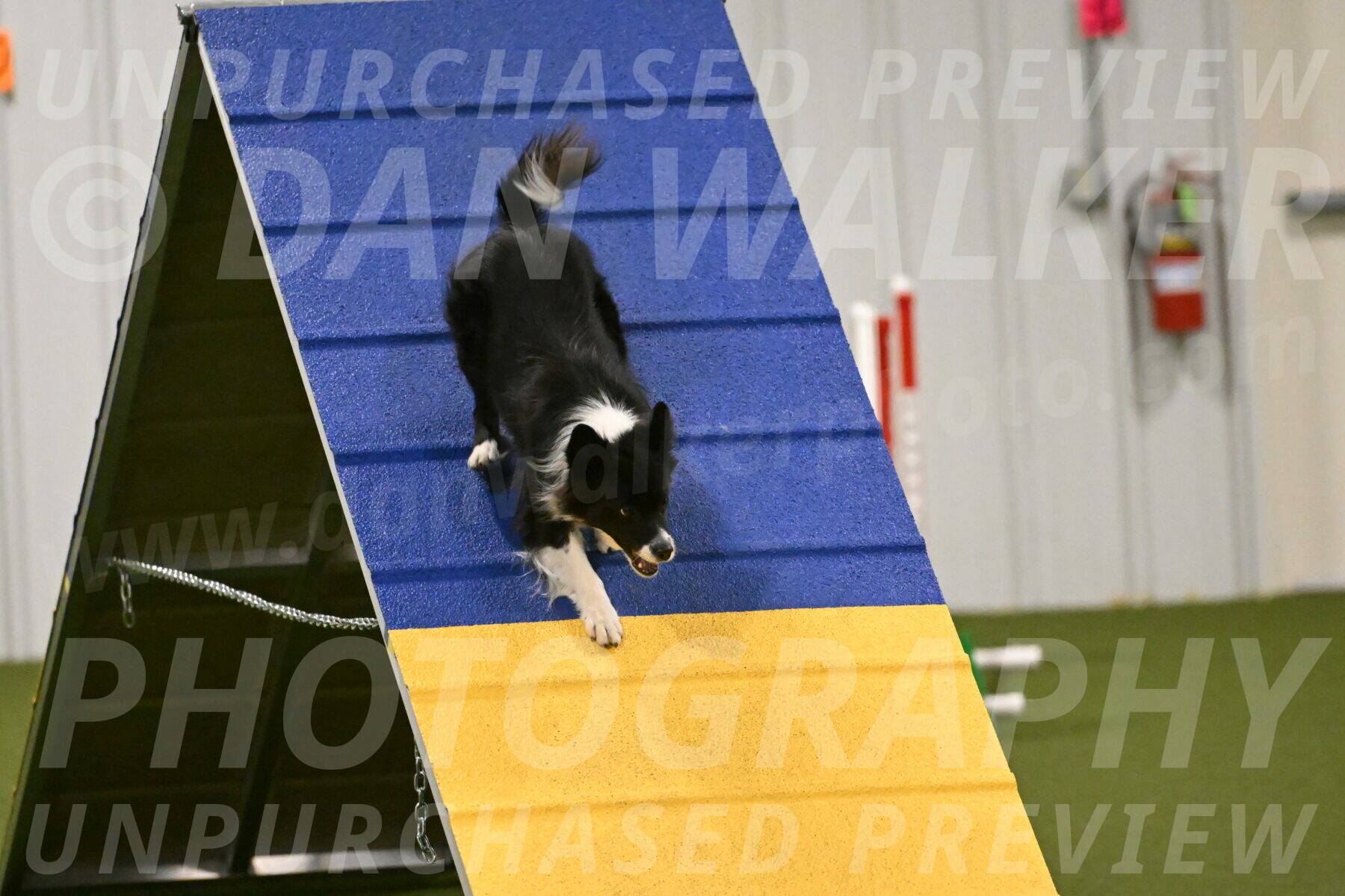 Esme-Samantha-Yanchik-00945