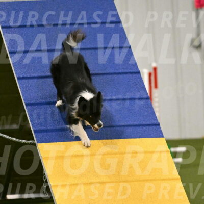 Esme-Samantha-Yanchik-00945