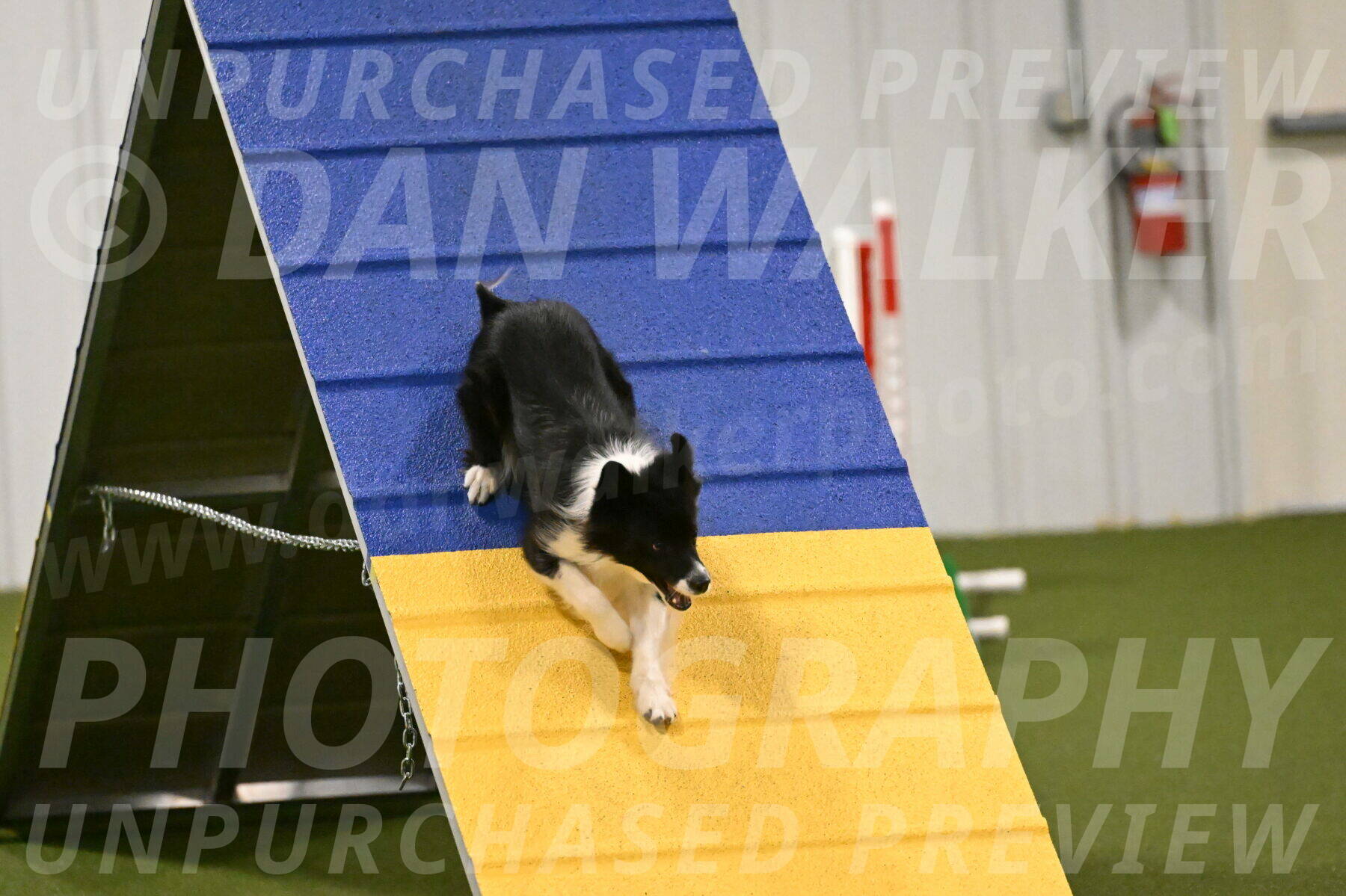 Esme-Samantha-Yanchik-00946