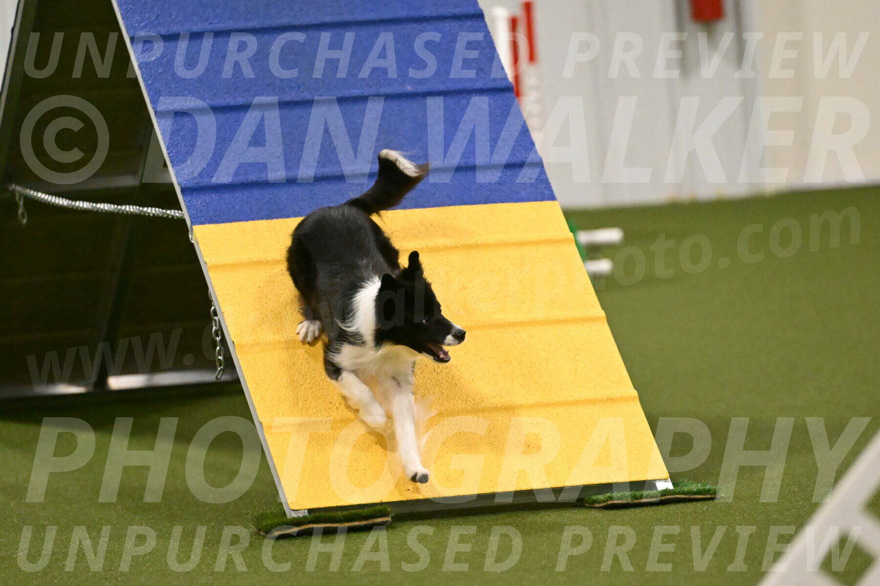 Esme-Samantha-Yanchik-00947