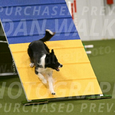 Esme-Samantha-Yanchik-00947