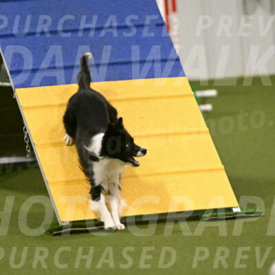 Esme-Samantha-Yanchik-00948