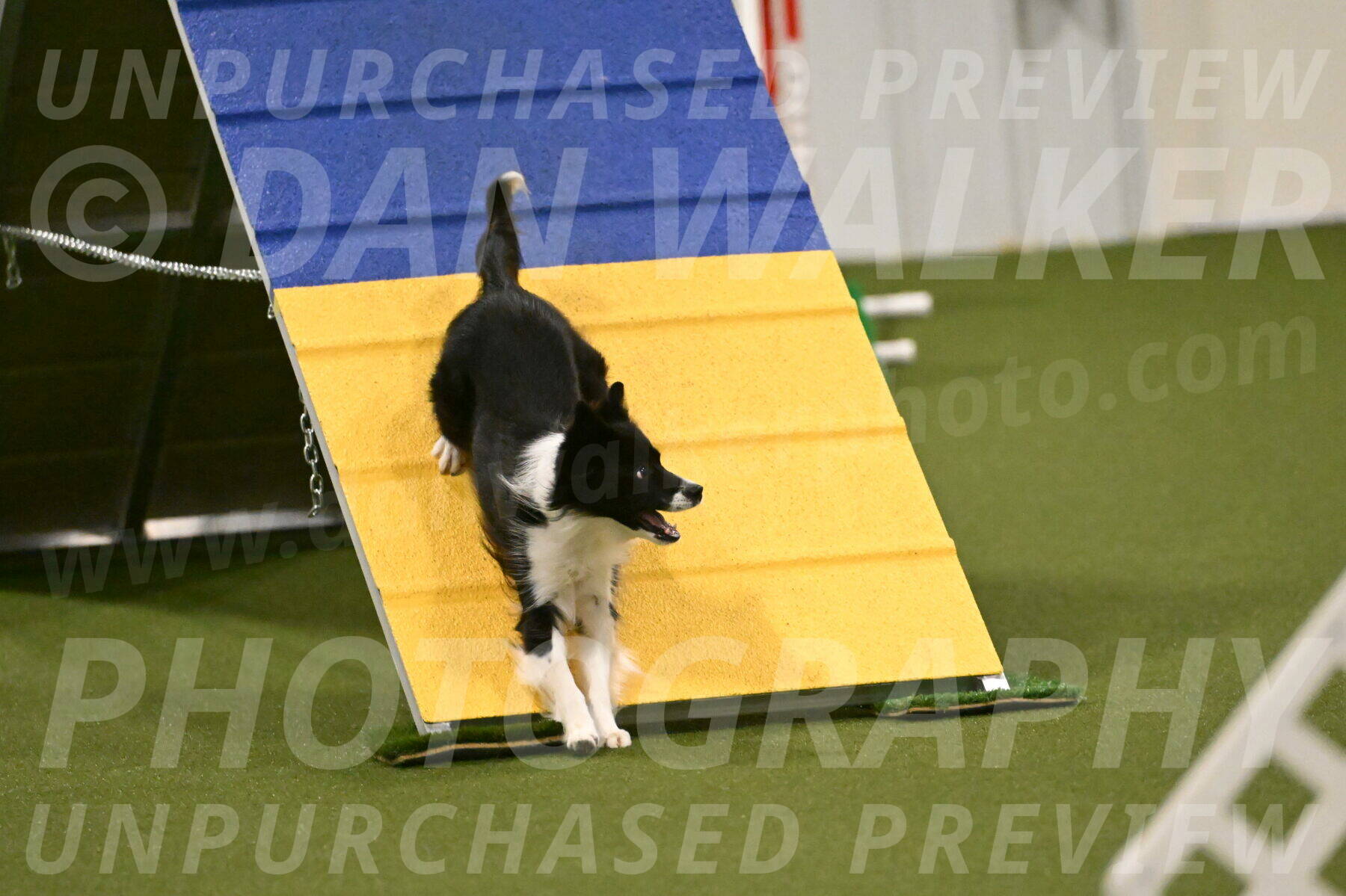 Esme-Samantha-Yanchik-00948