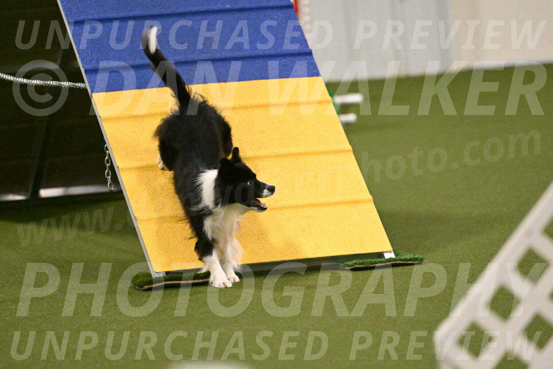 Esme-Samantha-Yanchik-00949