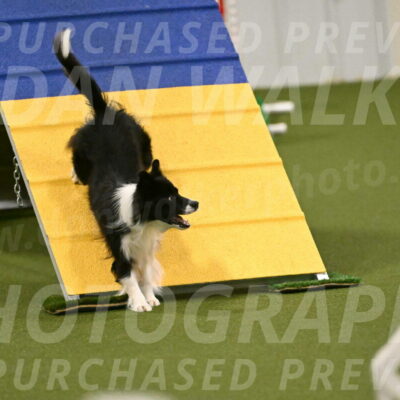 Esme-Samantha-Yanchik-00949