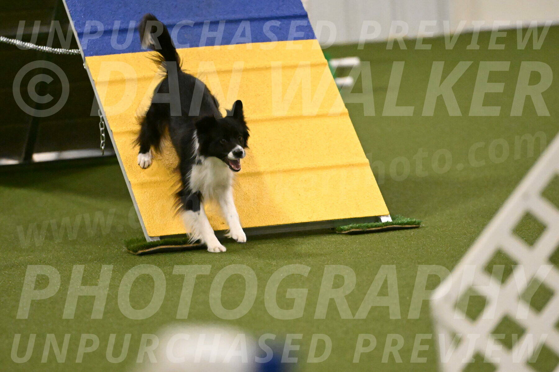 Esme-Samantha-Yanchik-00950