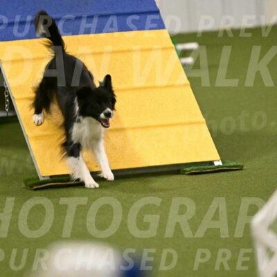 Esme-Samantha-Yanchik-00950