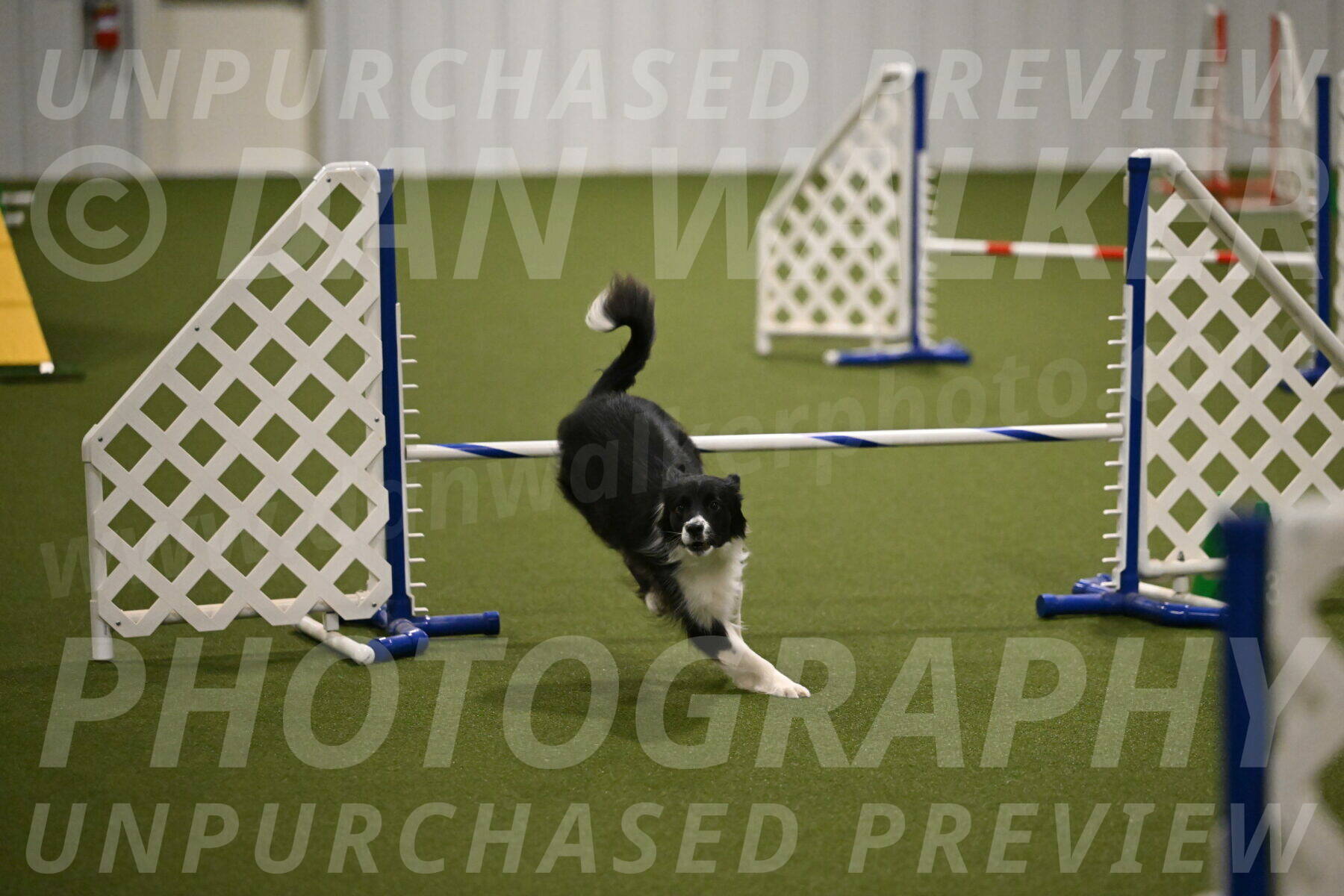 Esme-Samantha-Yanchik-00951