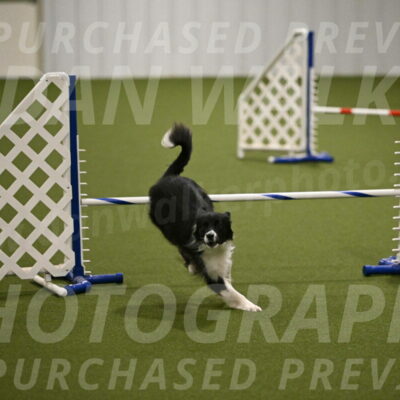 Esme-Samantha-Yanchik-00951