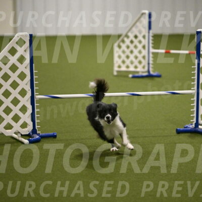 Esme-Samantha-Yanchik-00952