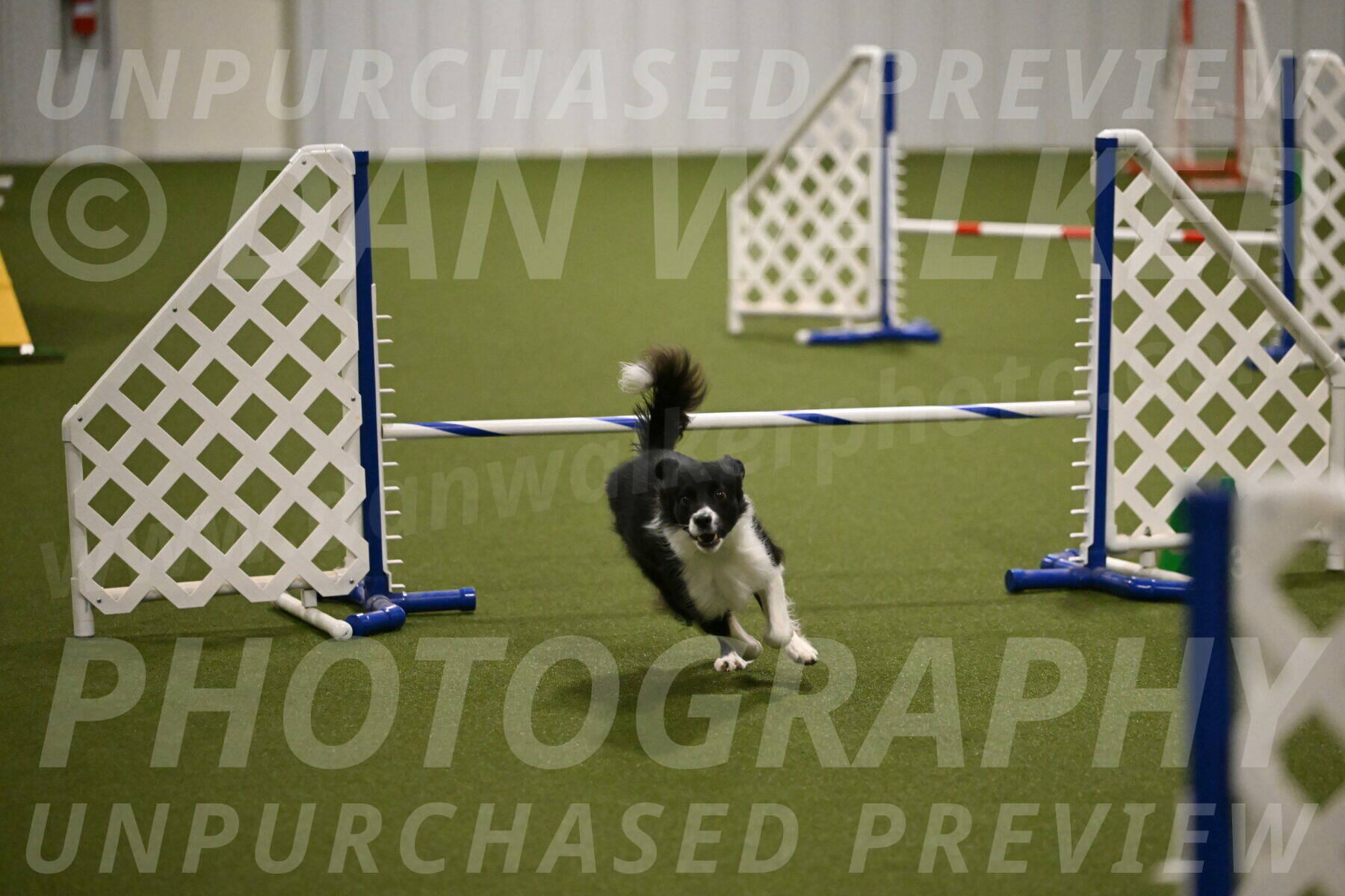 Esme-Samantha-Yanchik-00952