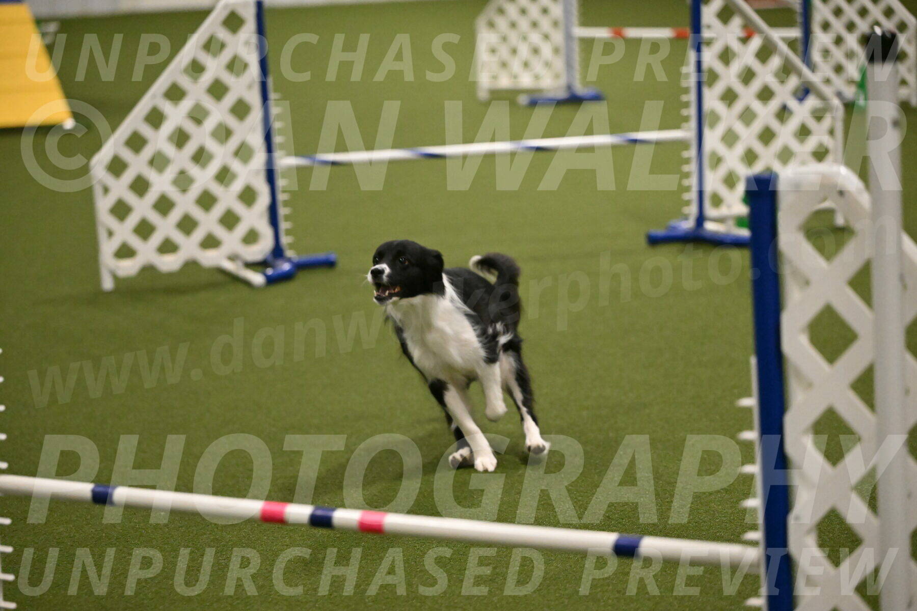 Esme-Samantha-Yanchik-00953