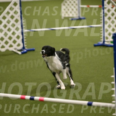 Esme-Samantha-Yanchik-00953