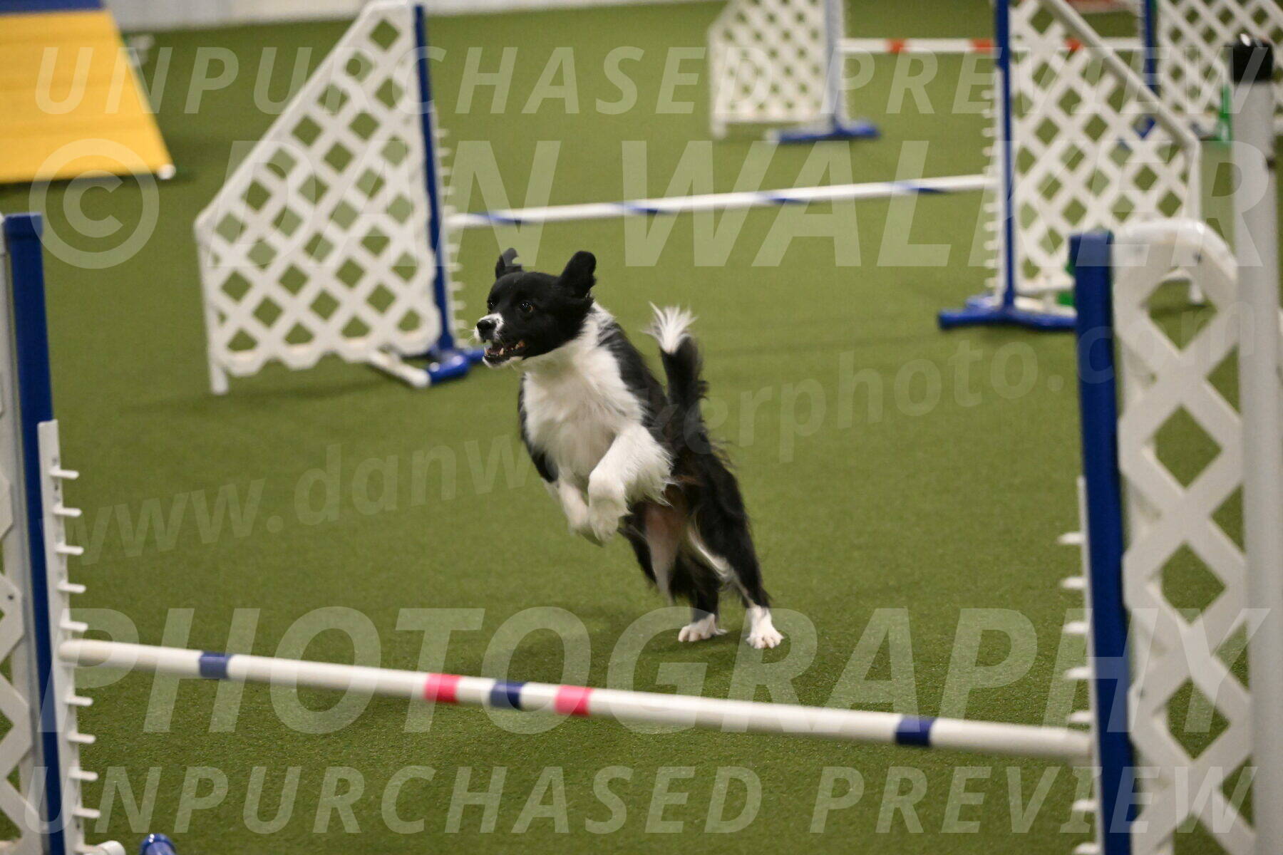 Esme-Samantha-Yanchik-00954