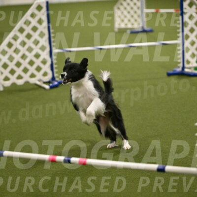 Esme-Samantha-Yanchik-00954