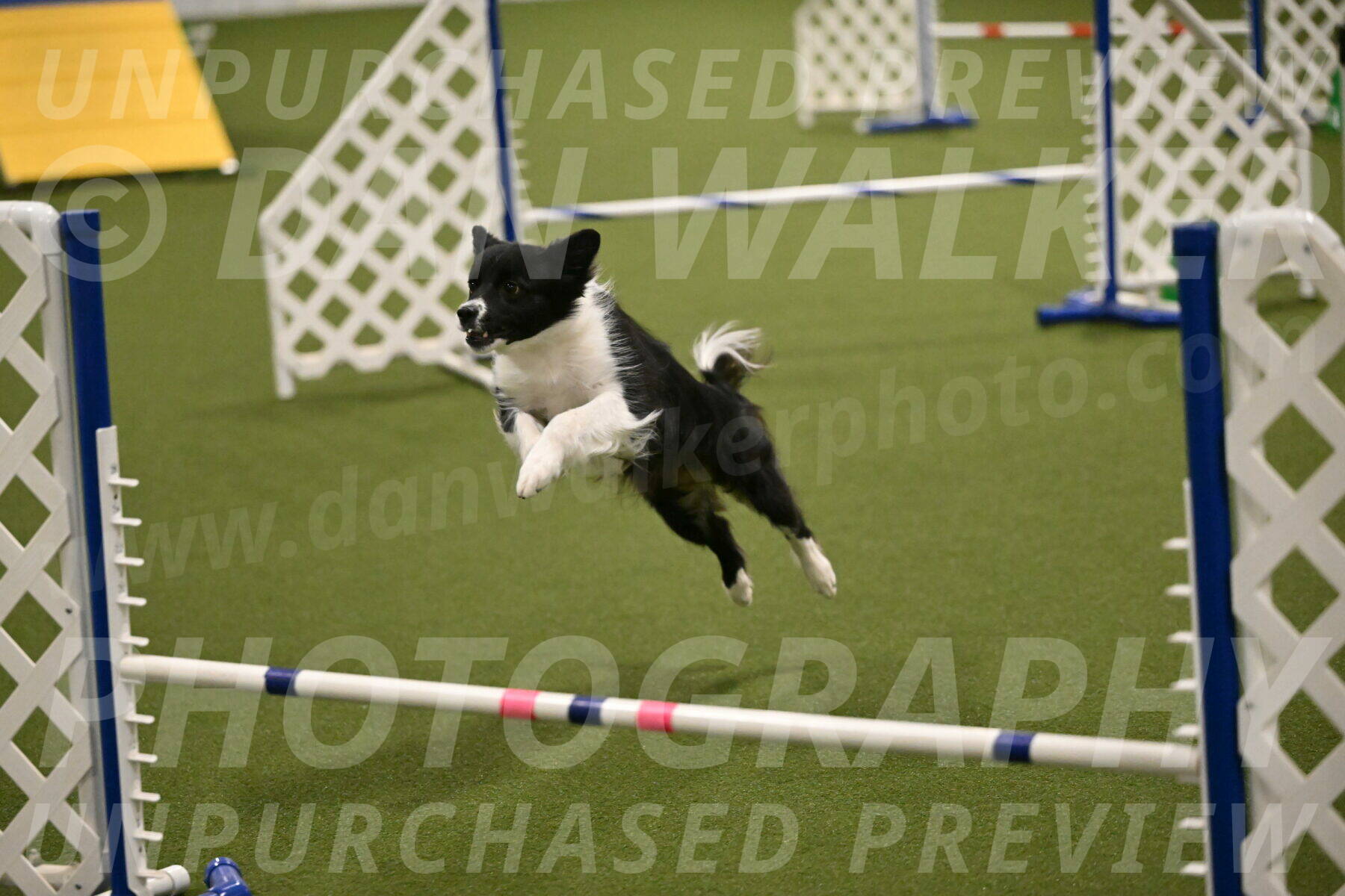 Esme-Samantha-Yanchik-00955