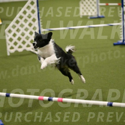 Esme-Samantha-Yanchik-00955