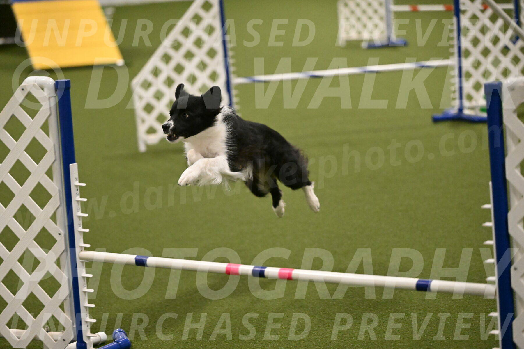 Esme-Samantha-Yanchik-00956