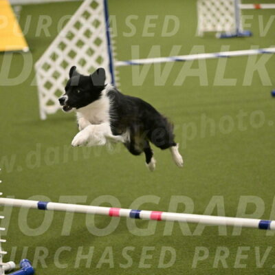 Esme-Samantha-Yanchik-00956