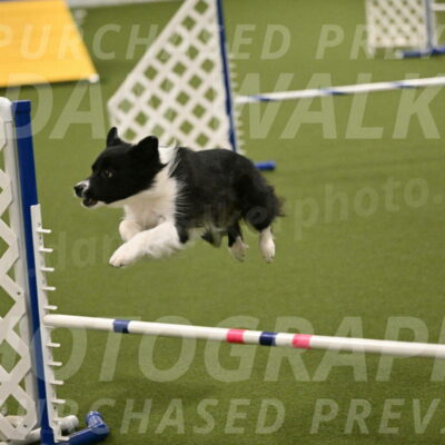 Esme-Samantha-Yanchik-00957