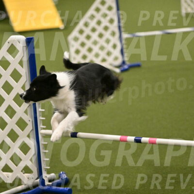 Esme-Samantha-Yanchik-00958