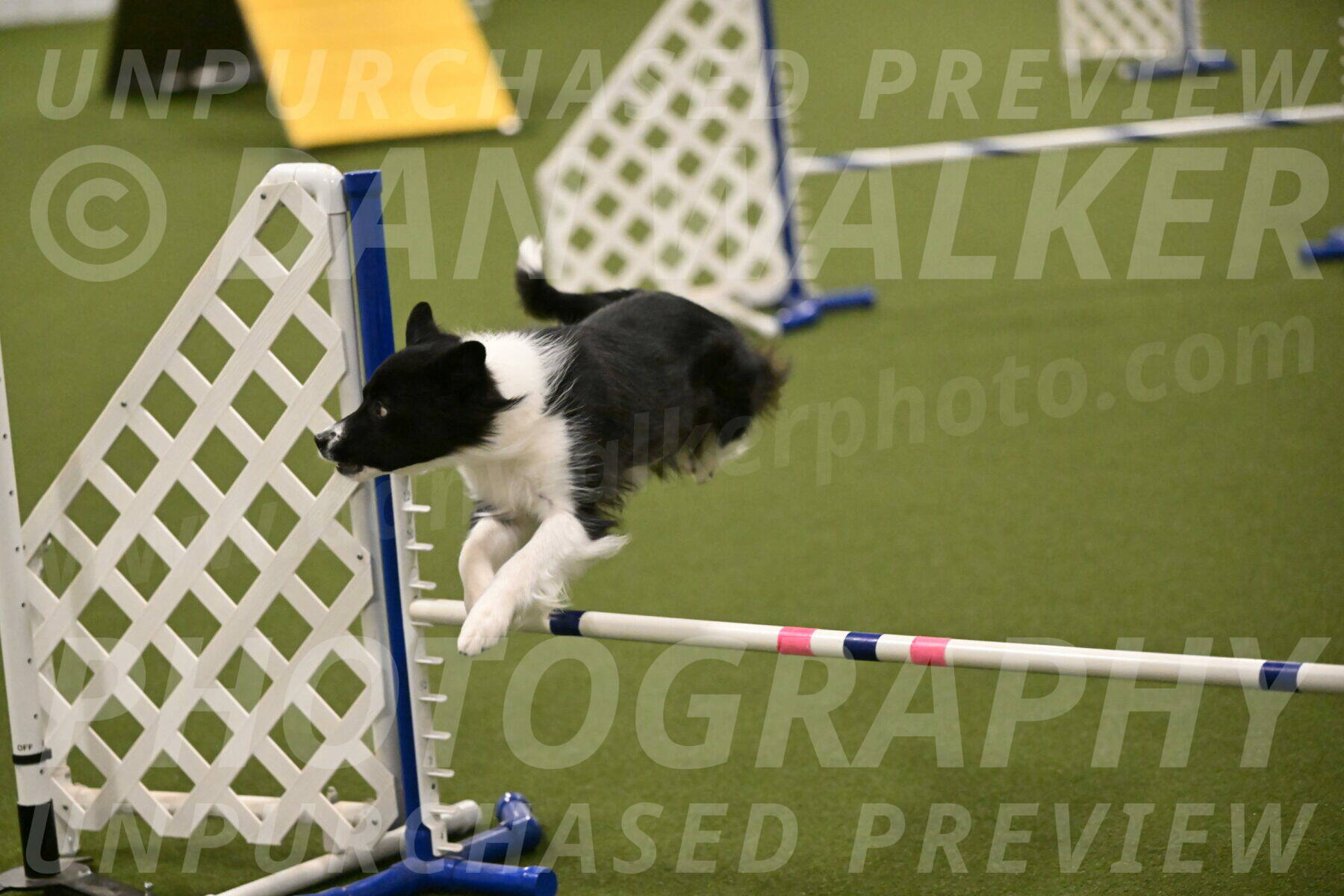 Esme-Samantha-Yanchik-00958