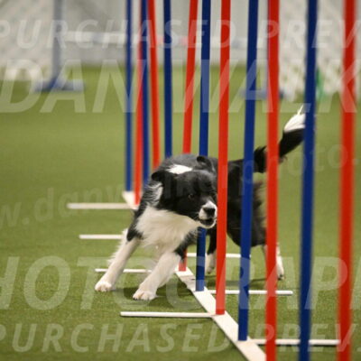 Esme-Samantha-Yanchik-00959