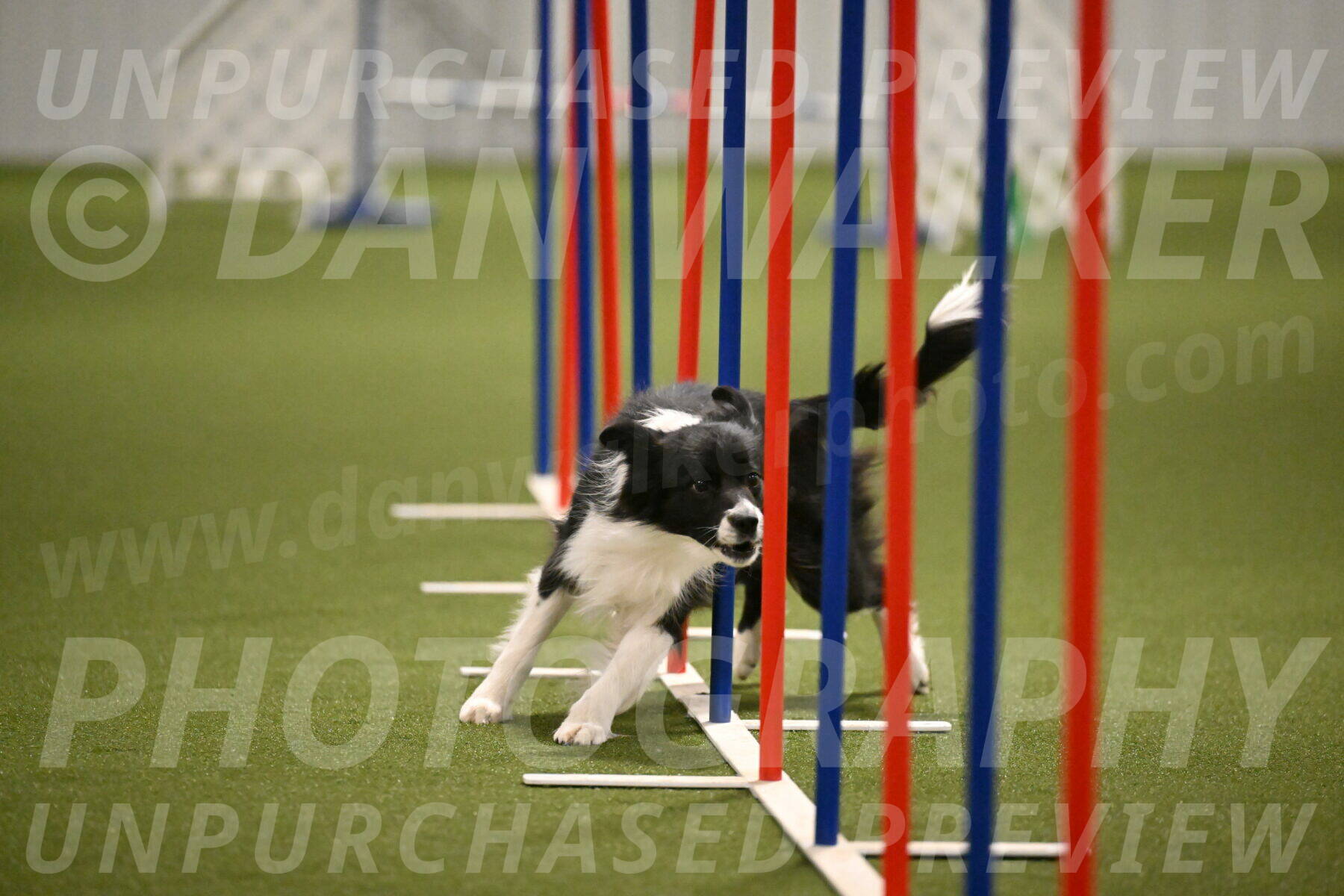 Esme-Samantha-Yanchik-00959