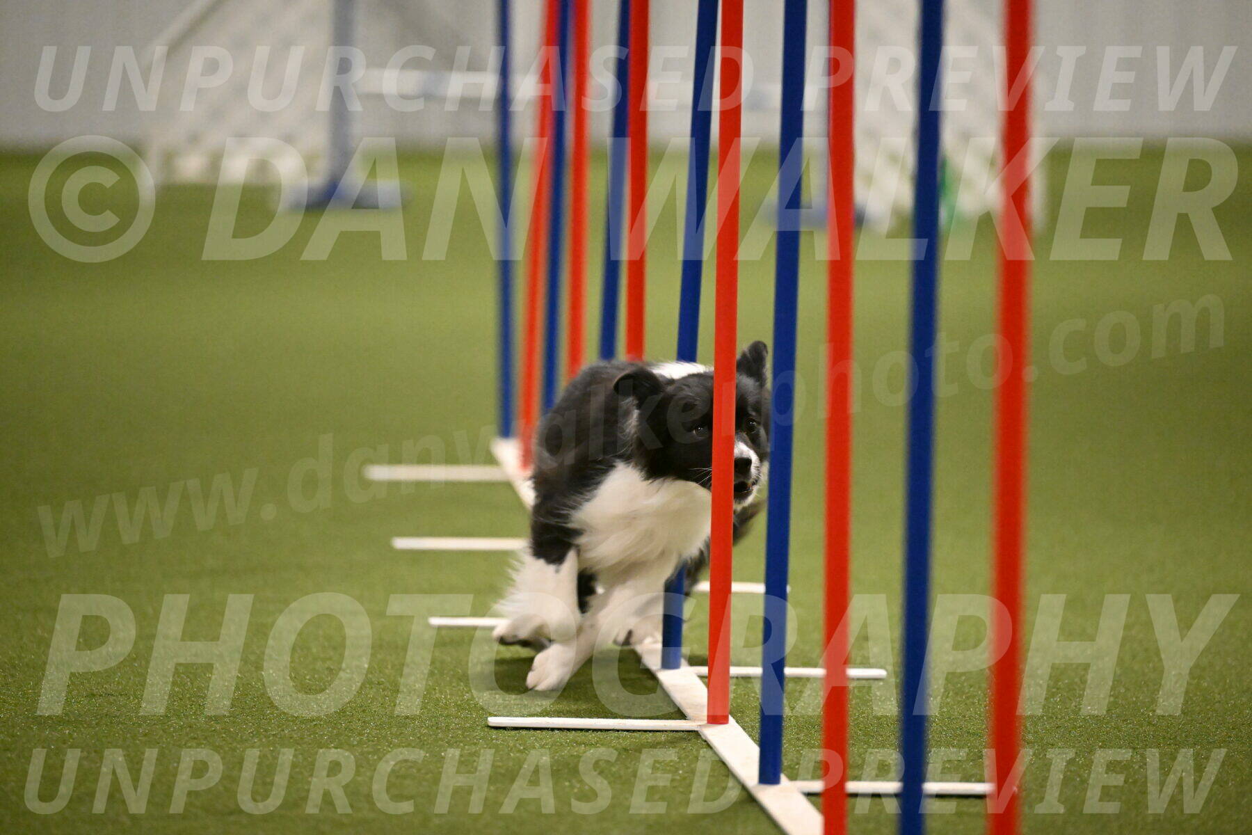 Esme-Samantha-Yanchik-00960