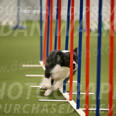 Esme-Samantha-Yanchik-00960