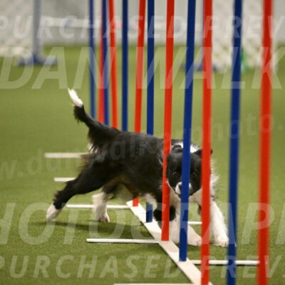 Esme-Samantha-Yanchik-00961