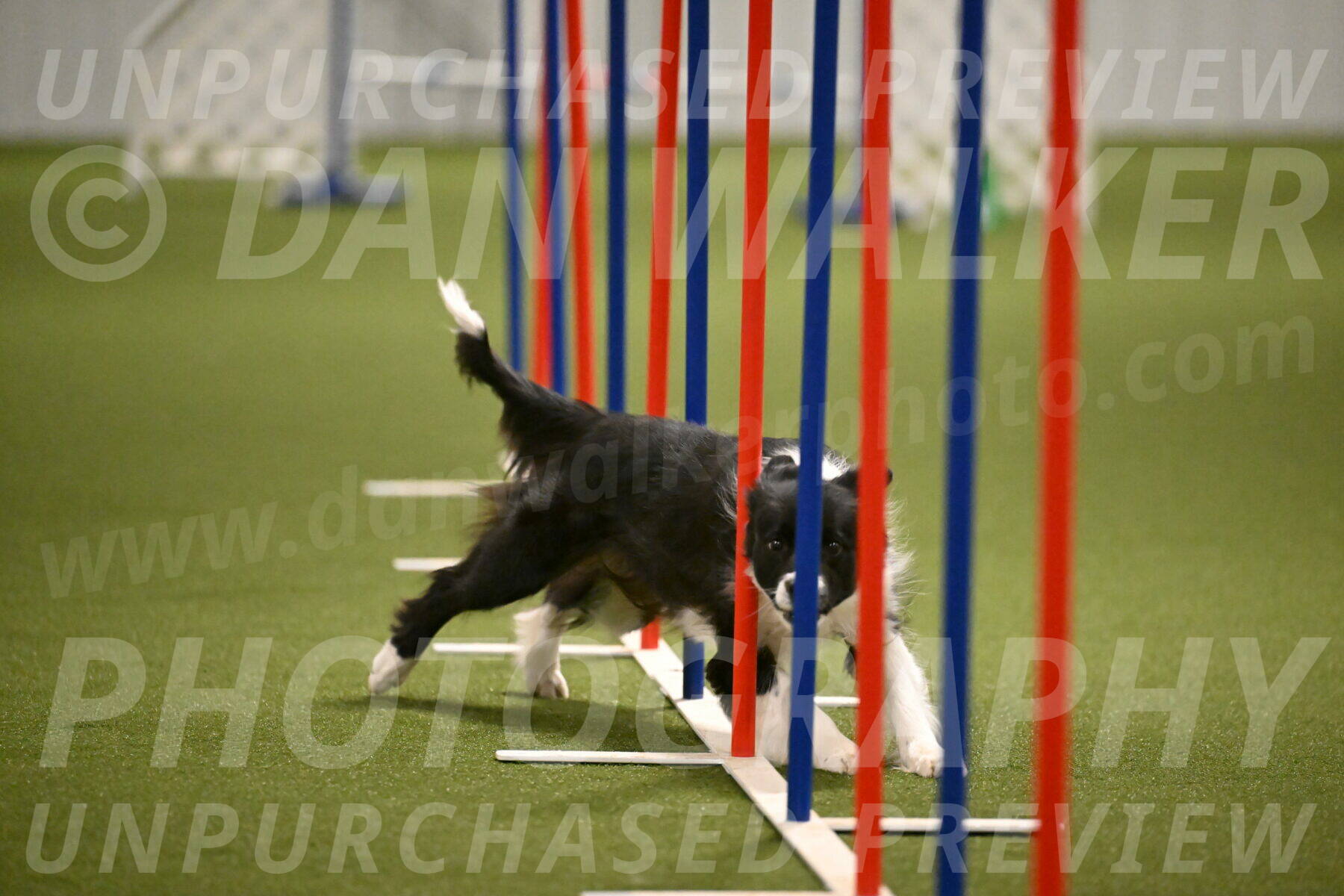 Esme-Samantha-Yanchik-00961